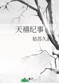 《天禧纪事》