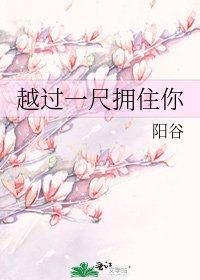 《越过一尺拥住你》