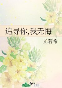 《追寻你,我无悔》