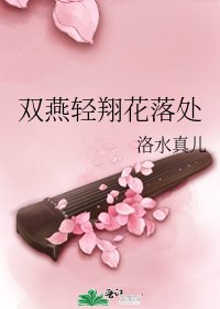 双燕轻翔花落处