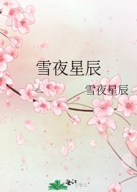 雪夜星辰