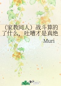 （家教同人）战斗算的了什么，吐嘈才是真绝色