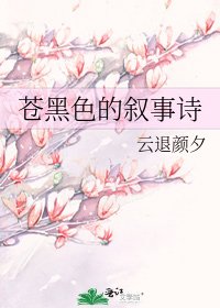 苍黑色的叙事诗