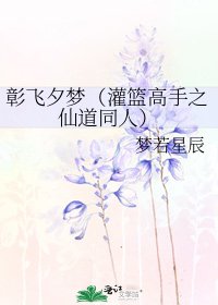彰飞夕梦（灌篮高手之仙道同人）