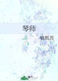 琴师