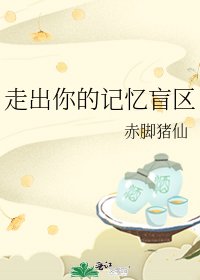 《走出你的记忆盲区》