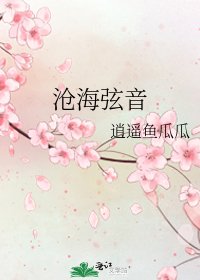 沧海弦音
