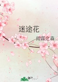 迷途花