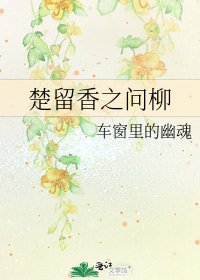 楚留香之问柳