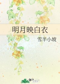 明月映白衣