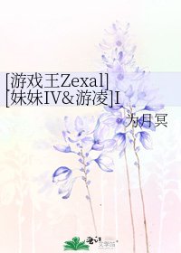 [游戏王Zexal][妹妹IV&游凌]IV的xx史们