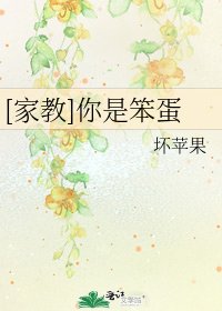 [家教]你是笨蛋