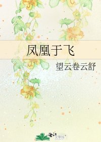 凤凰于飞