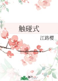 触碰式