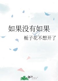 如果没有如果