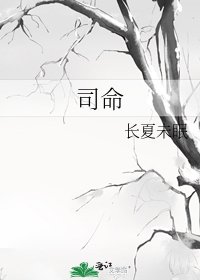 司命