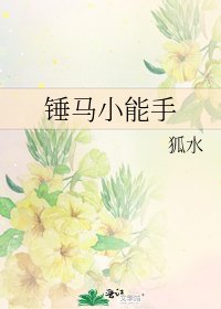 锤马小能手