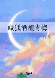 （排球少年同人）藏狐酒酿青梅