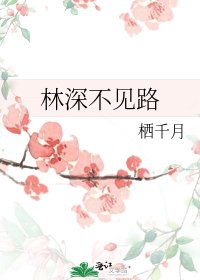 林深不见路