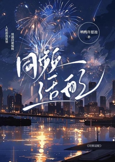 同频适配