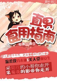 直男食用指南