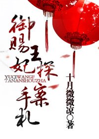 御赐王妃探案手札/谈情说案