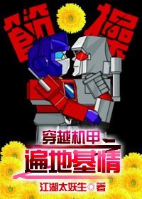 穿越机甲之遍地基情/当装逼犯遇到装逼犯